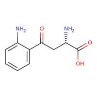Buy L-Kynurenine, free base K-9020 Online